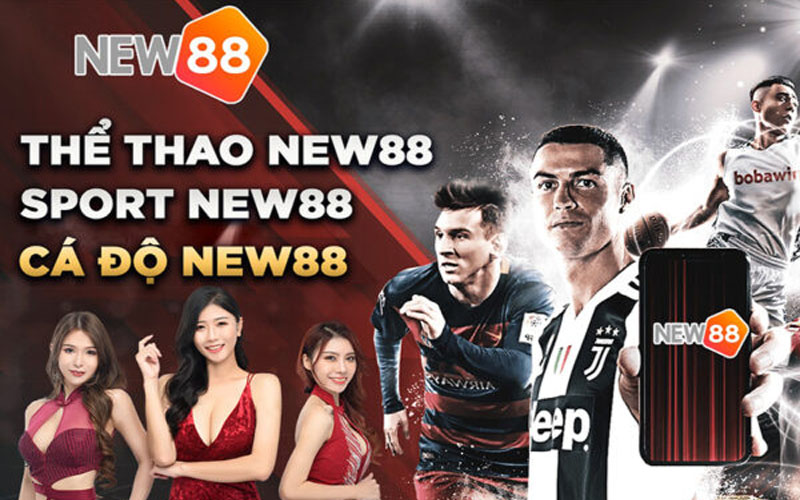 Bên làm việc với cá độ thể thao New88 